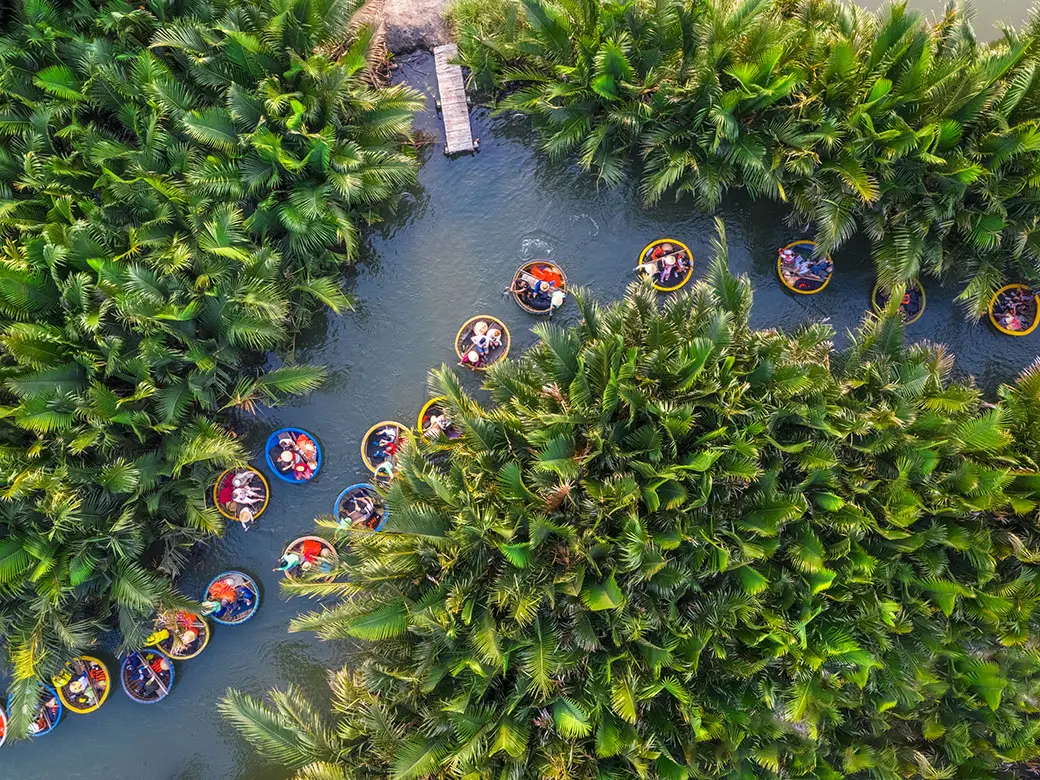 Basket boats among the green palms of Cam Thanh